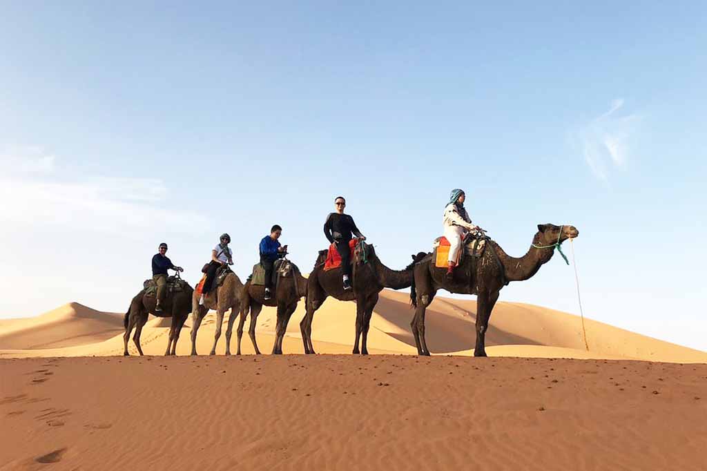 3 Nights Camel Trek Morocco