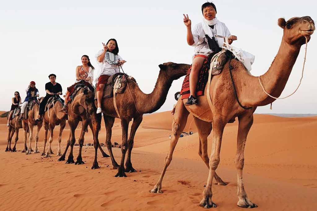 1 Dia y 1 Noche Paseo en Camellos Merzouga