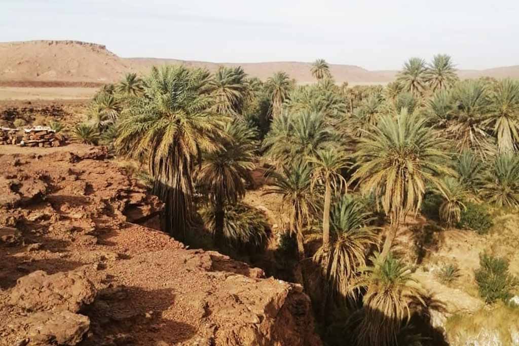 Excursión desde Merzouga al oasis de Safsaf