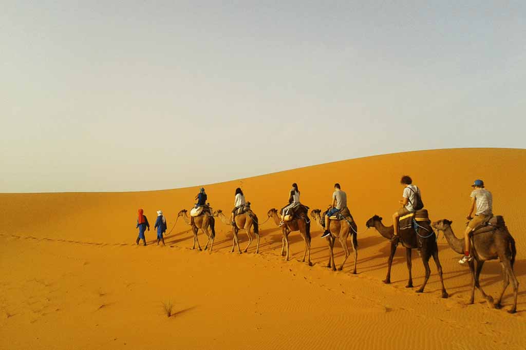 Sunrise Camel Trek in Merzouga