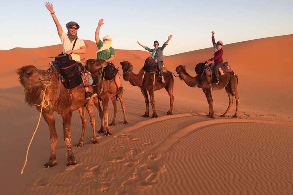 Sunset Camel Trek in Merzouga