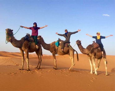 paseos en camellos en Marruecos